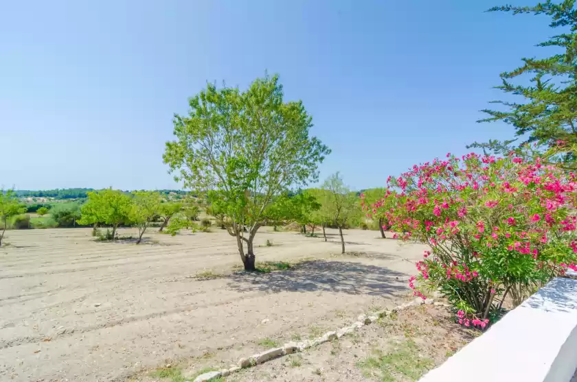 Alquiler vacacional en Sa rota (den joan porrerenc), Montuïri