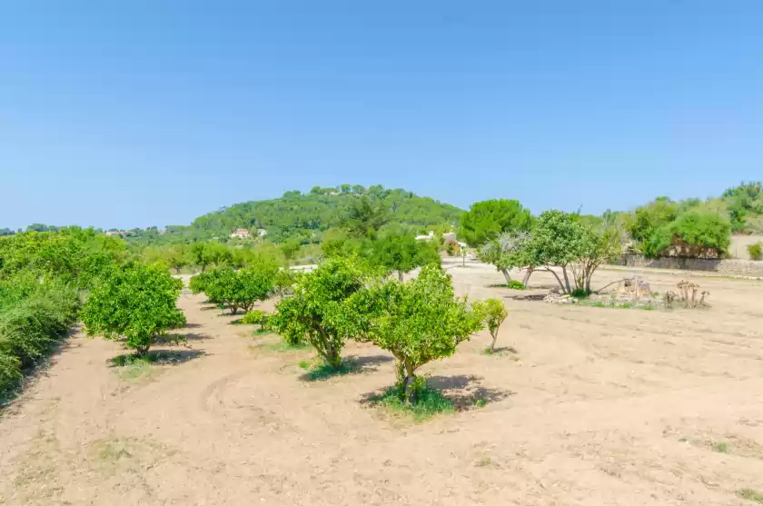 Alquiler vacacional en Sa rota (den joan porrerenc), Montuïri