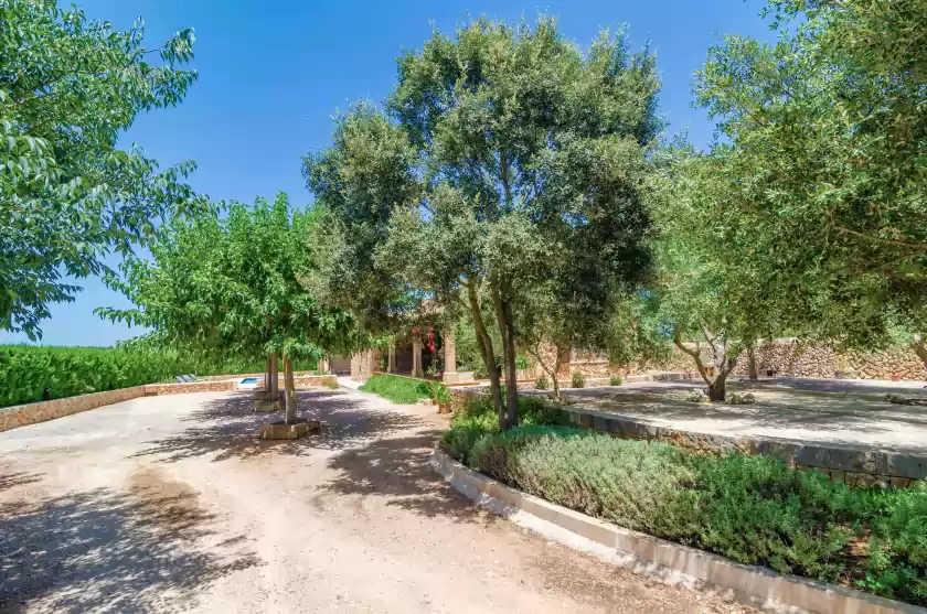 Holiday rentals in Aubadallet, Vilafranca de Bonany