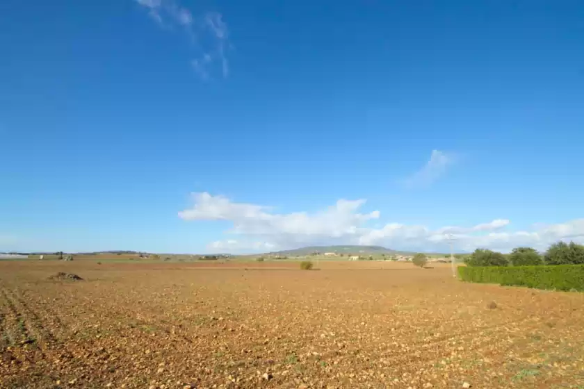 Holiday rentals in Aubadallet, Vilafranca de Bonany