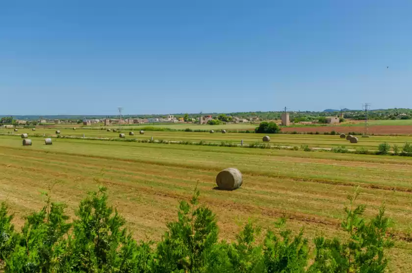 Ferienhaus auf Cas fideuer, s'Aranjassa