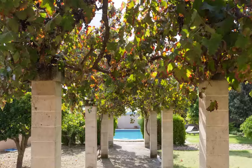 Alquiler vacacional en Baix de la vila, Vilafranca de Bonany