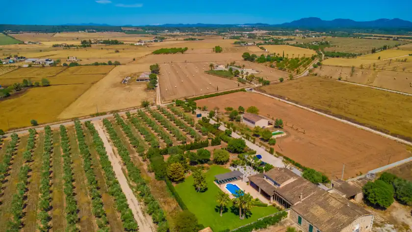 Holiday rentals in Son vanrell (campos), Campos