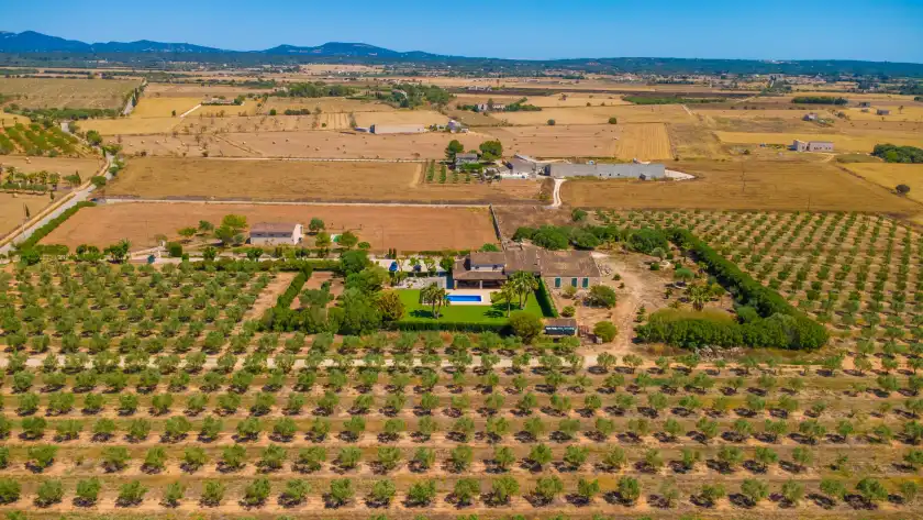Holiday rentals in Son vanrell (campos), Campos