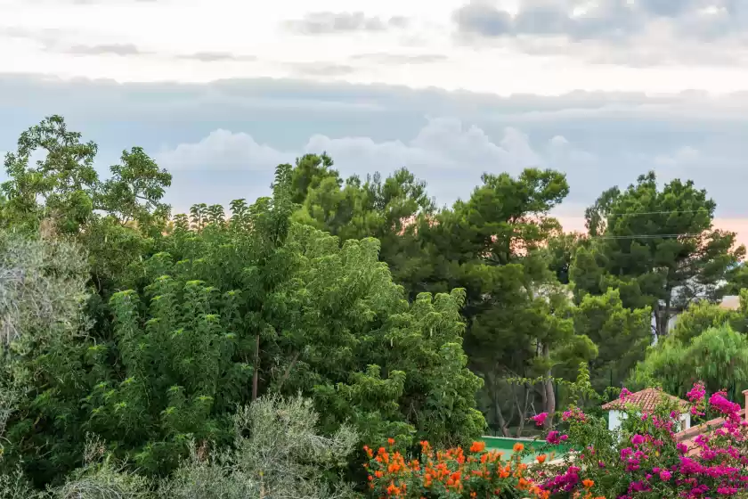 Ferienhaus auf Son puret, Bellavista