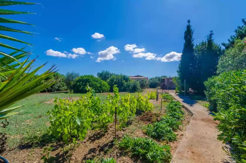 Ferienhaus auf Es safareig, Manacor