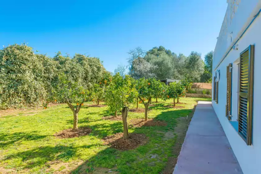 Ferienhaus auf Las piedras, Llucmajor