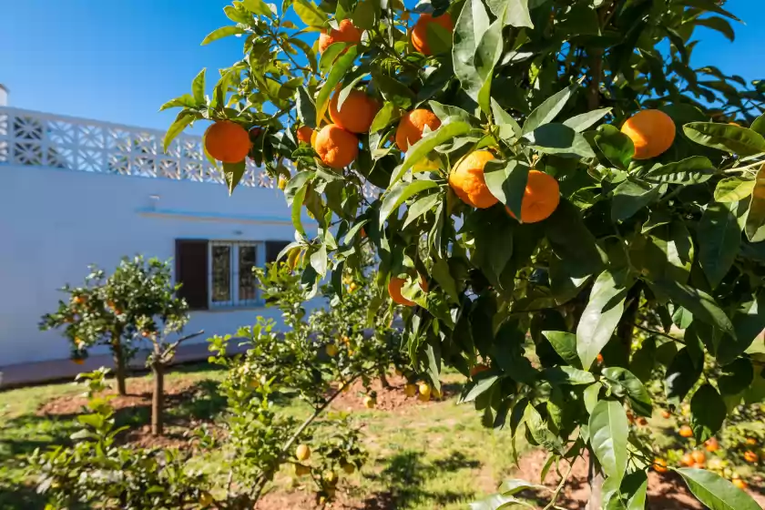 Ferienhaus auf Las piedras, Llucmajor