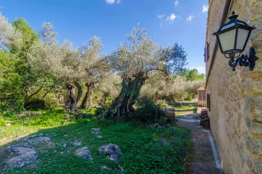 Ferienhaus auf Les tosses, Pollença