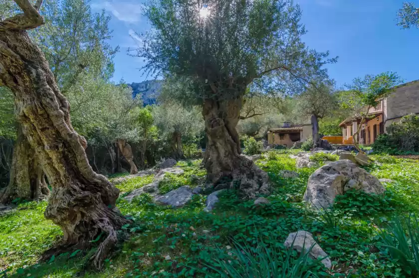 Ferienhaus auf Les tosses, Pollença