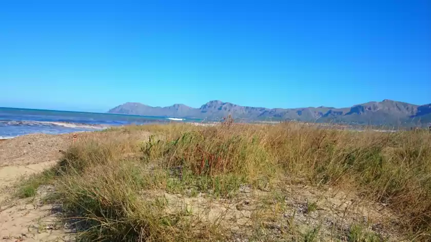 Alquiler vacacional en Curollamaris, Urbanització Montfarrutx