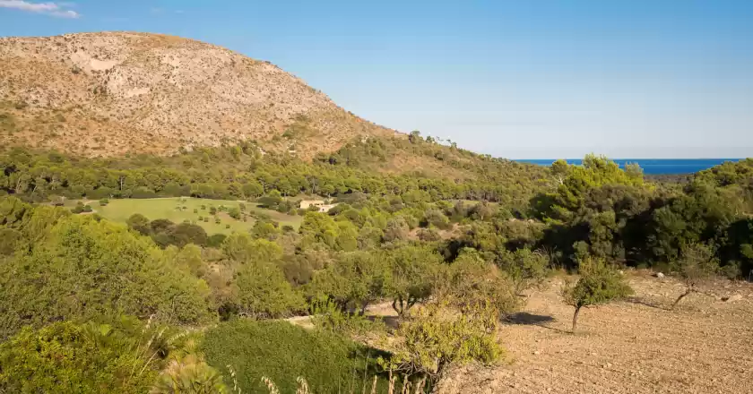 Holiday rentals in Can carros, Alcúdia