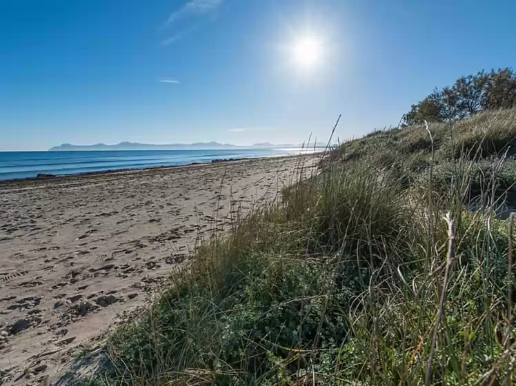 Holiday rentals in S'hort de monnaber, Platja de Muro