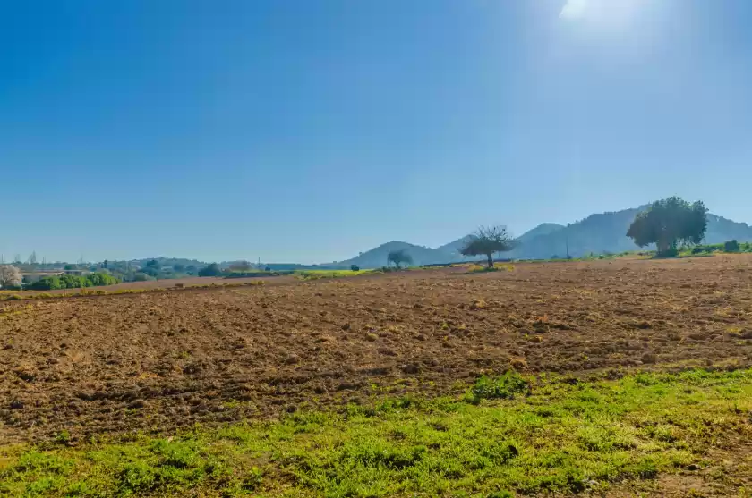 Alquiler vacacional en Na molla, Manacor