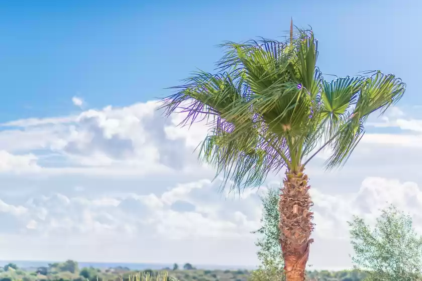 Holiday rentals in Vista alegre, Manacor