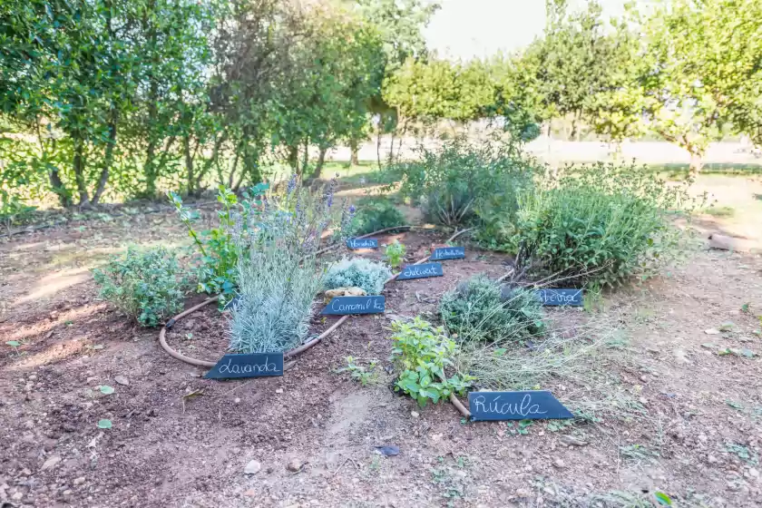 Holiday rentals in Vista alegre, Manacor