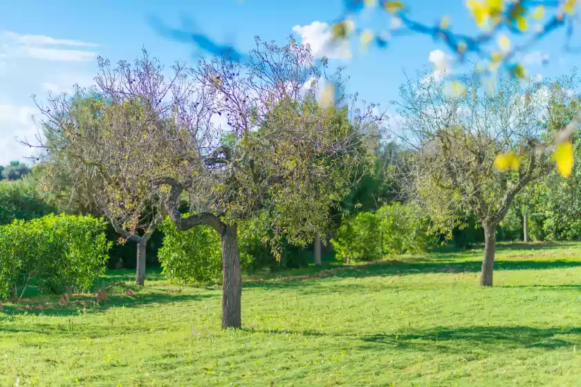 Holiday rentals in Vista alegre, Manacor