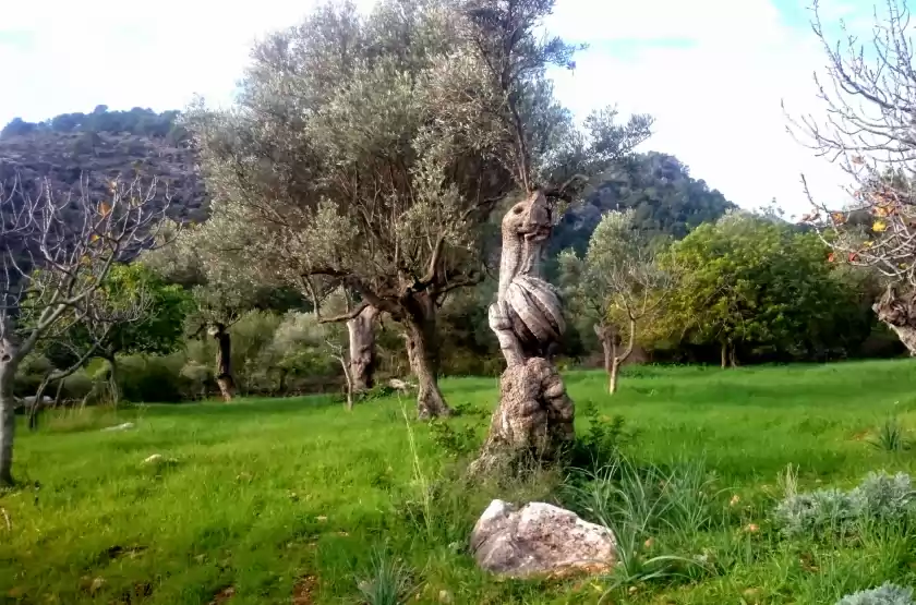 Ferienunterkünfte in Ca na carme (alaronera), Alaró