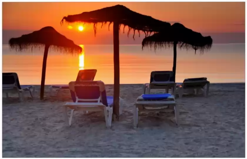 Holiday rentals in Ses oliveres, Alcúdia