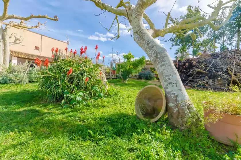 Alquiler vacacional en Sabor de cas ferrer, Montuïri