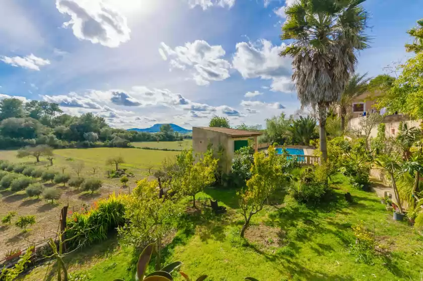 Holiday rentals in Sabor de cas ferrer, Montuïri