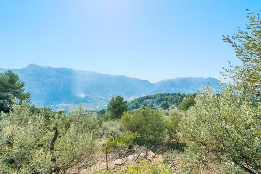 Holiday rentals in S'olivaret (fornalutx), Fornalutx