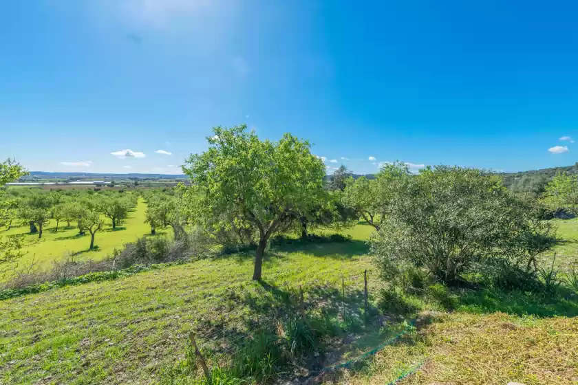 Ferienhaus auf Gayeta gran, Sa Pobla