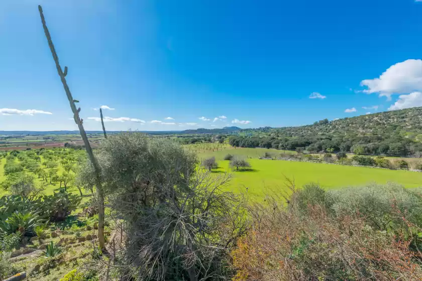 Ferienhaus auf Gayeta gran, Sa Pobla