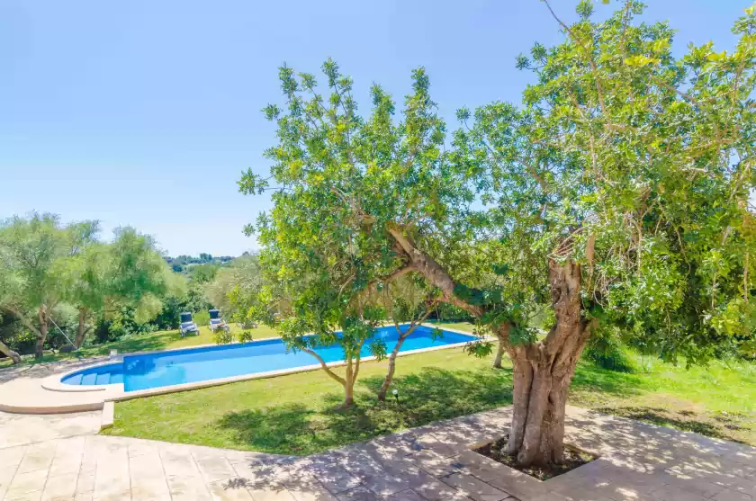 Alquiler vacacional en Finca calma, Son Servera