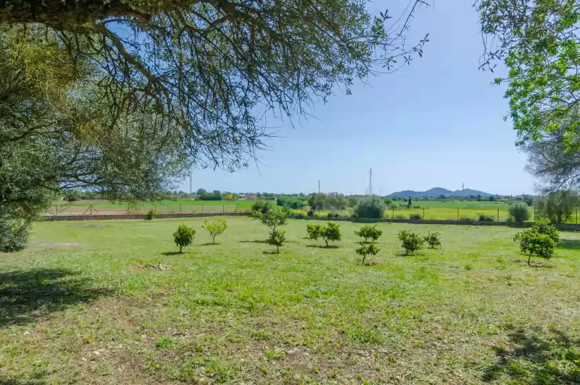 Alquiler vacacional en Cas padri des caparo, Manacor