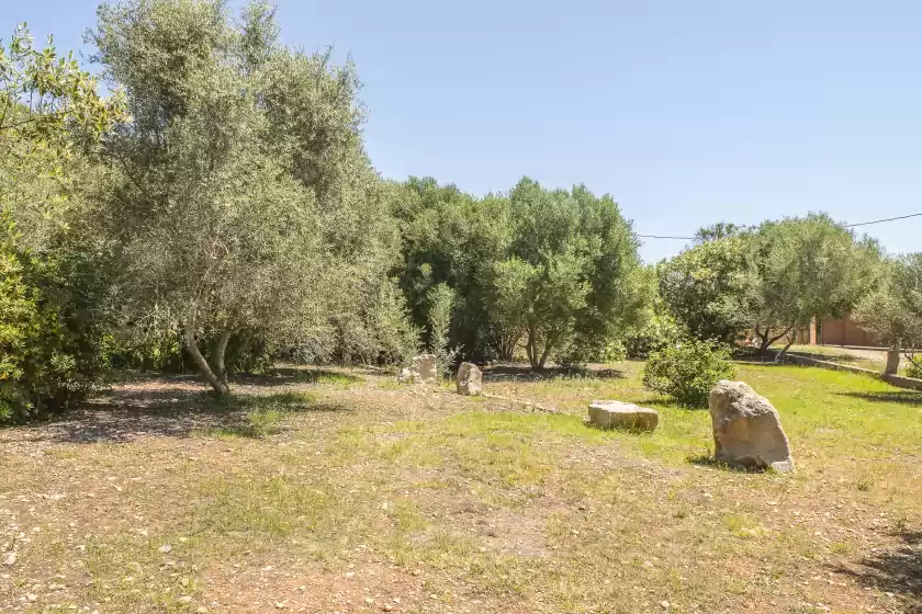 Alquiler vacacional en Finca sa plana, Son Servera