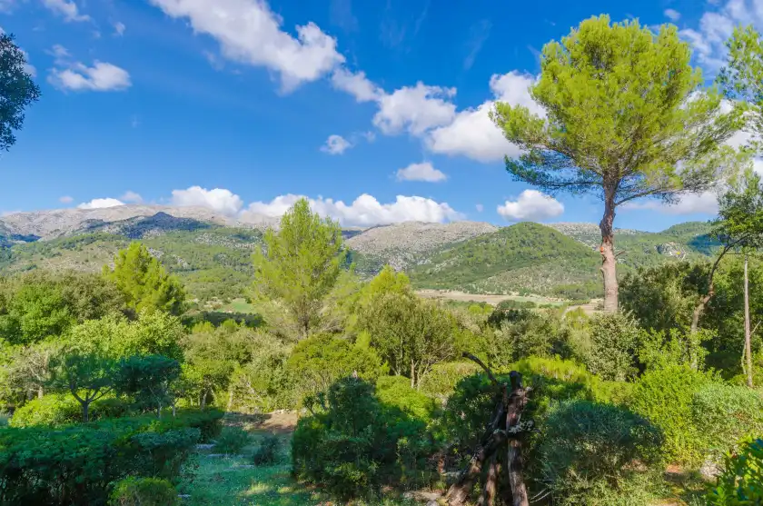 Holiday rentals in Ca na margalida (villa campanet), Campanet