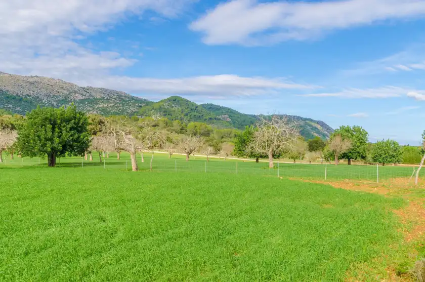 Holiday rentals in Ca na margalida (villa campanet), Campanet