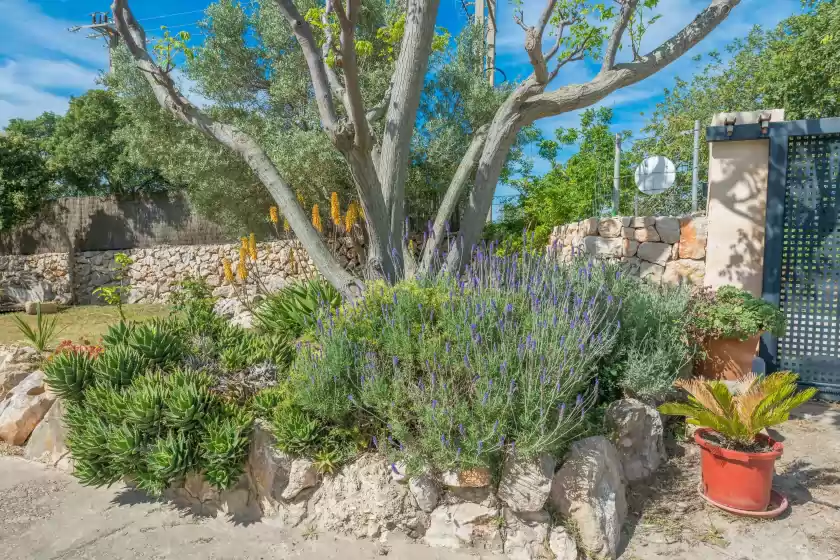 Holiday rentals in Es nivet, Son Carrió