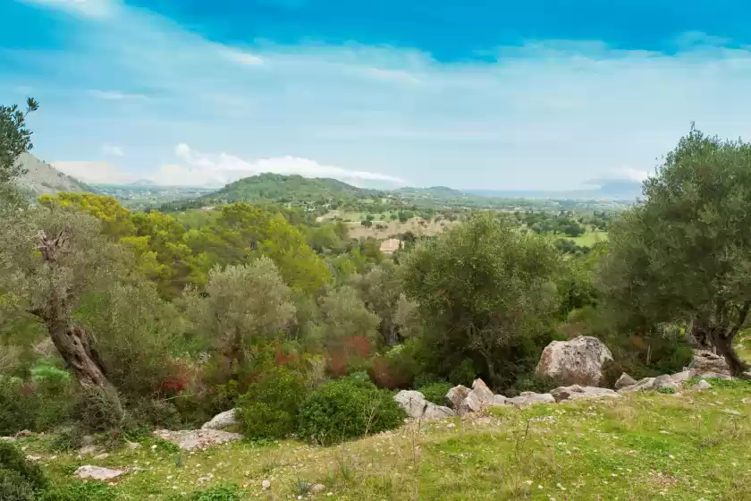 Alquiler vacacional en Can guillo, Pollença