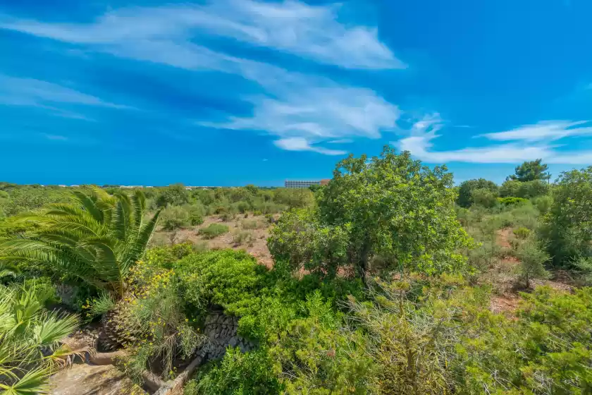 Alquiler vacacional en Barcelo-danus, Portocolom
