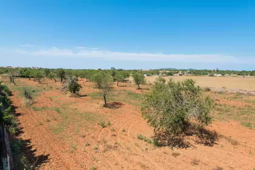 Alquiler vacacional en Son piris, es Llombards