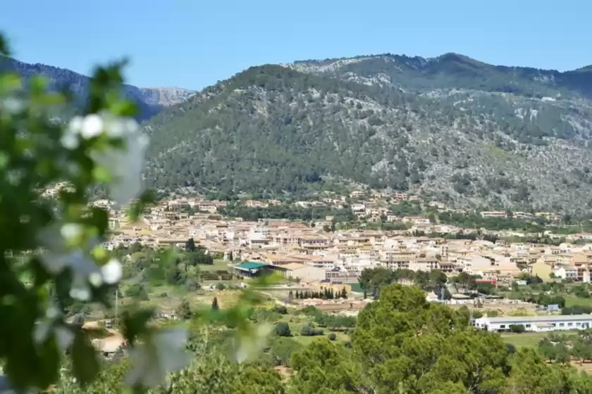 Alquiler vacacional en Ses costes, Alaró