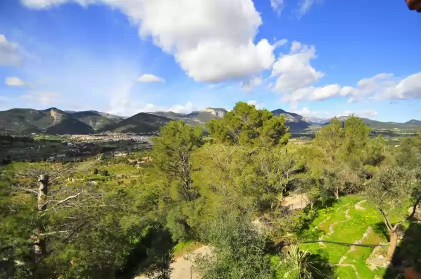 Alquiler vacacional en Ses costes, Alaró