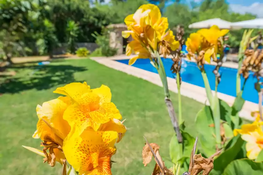 Alquiler vacacional en Casa alba, Manacor