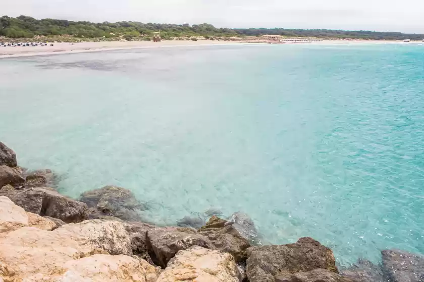 Alquiler vacacional en Dolphin house, sa Ràpita