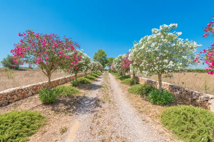 Ferienhaus auf Vinya des trenc, Campos