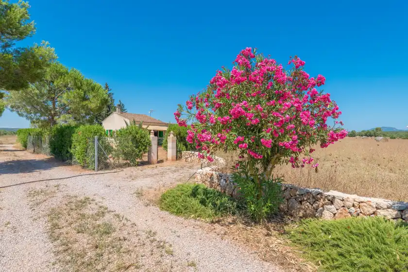 Ferienhaus auf Vinya des trenc, Campos