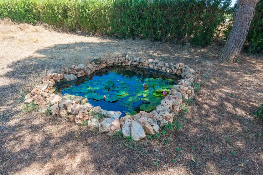 Ferienhaus auf Vinya des trenc, Campos