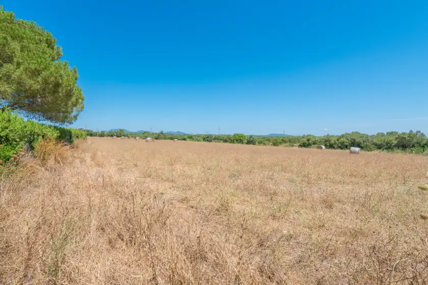 Ferienhaus auf Vinya des trenc, Campos
