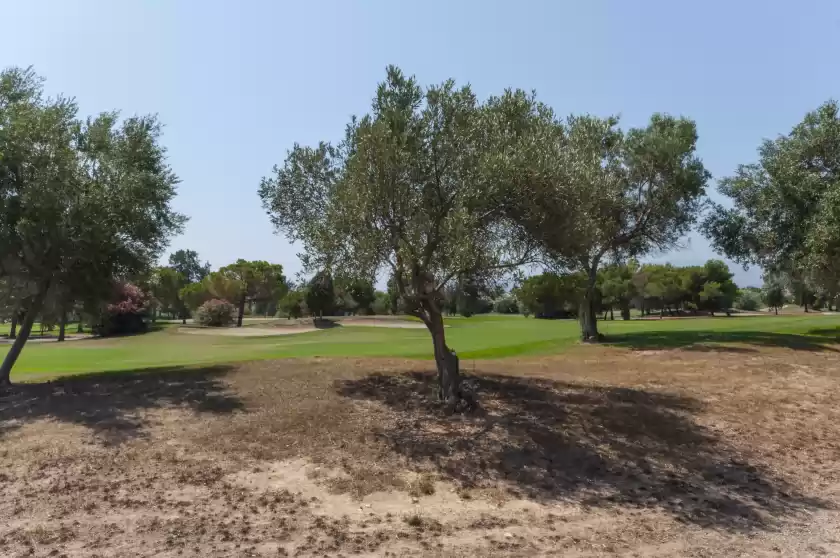 Holiday rentals in Greenbeach, Urbanització Platja d'Oliva