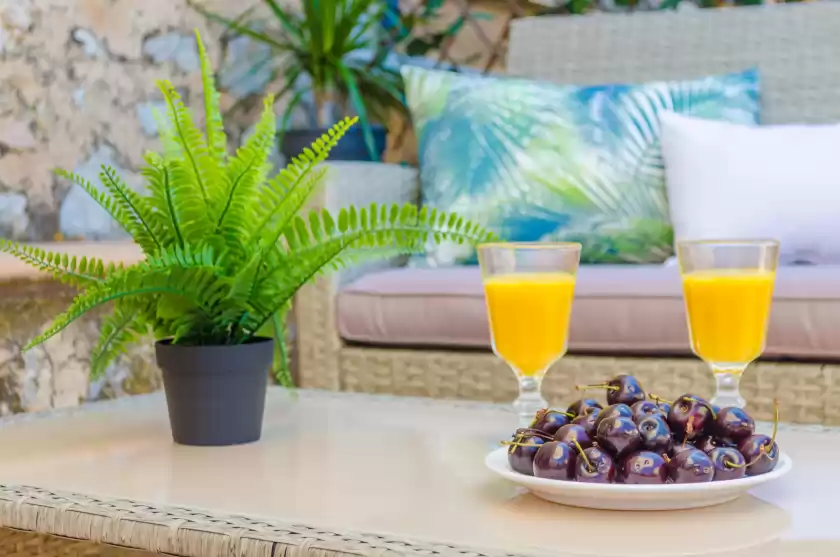 Ferienhaus auf Can damia , s'Arracó