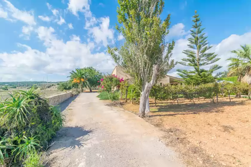 Alquiler vacacional en Sa grua, Sant Llorenç des Cardassar