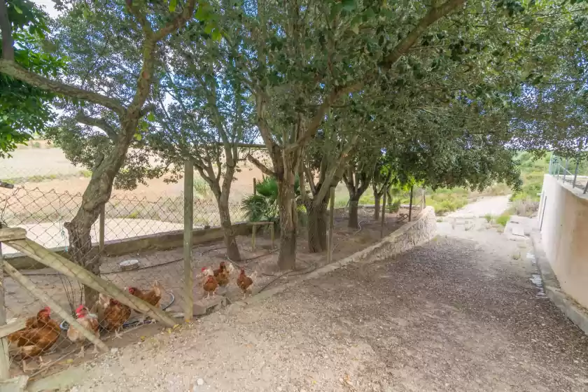 Alquiler vacacional en Sa grua, Sant Llorenç des Cardassar