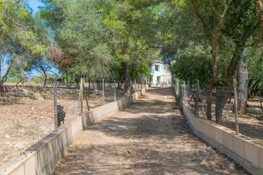 Ferienhaus auf Finca son baulo, Santa Margalida